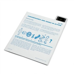 Supertek™ Microslide™ - Micro Chromosomes and Genes in Action