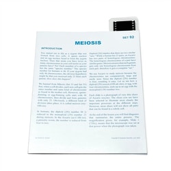 Supertek™ Microslide™ - Meiosis