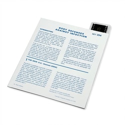 Supertek™ Microslide™ - Body Defenses/Infection