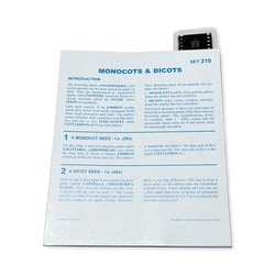 Supertek™ Microslide™ - Monocots and Dicots Set