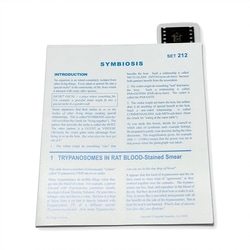 Supertek™ Microslide™ - Symbiosis Set