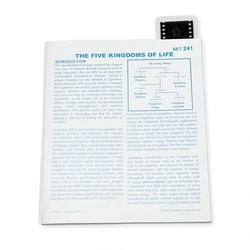 Supertek™ Microslide™ - The Five Kingdom