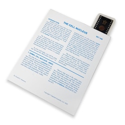 Supertek™ Microslide™ - Cell Nucleus