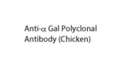 Anti-alpha Gal Polyclonal Antibody (Chicken) , TCI America VIAL:Antibodies,