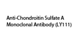 Anti-Chondroitin Sulfate A Monoclonal Antibody (LY111) , TCI America™