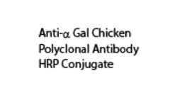 Anti-alpha Gal Chicken Polyclonal Antibody HRP Conjugate , TCI America
