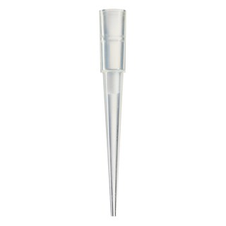 Puntali Thermo Fisher Finntip Filtro 50ul (9400370) – Confezione 10 Rack Da 384, Sterili