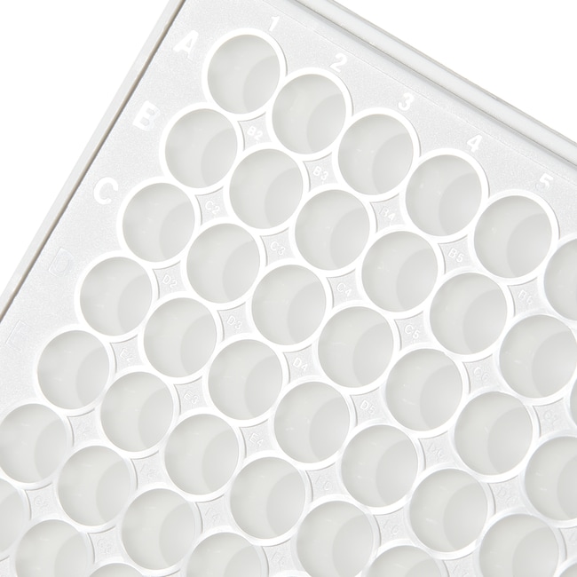 Thermo Scientific Nunc 96Well Polypropylene Storage Microplates 96