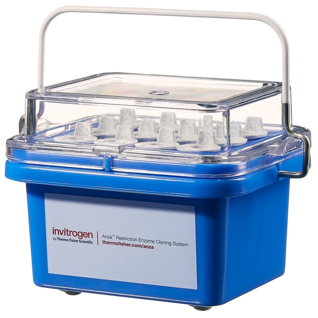 Thermo Scientific Benchtop Coolers Nalgene Labtop Cooler, 3x4