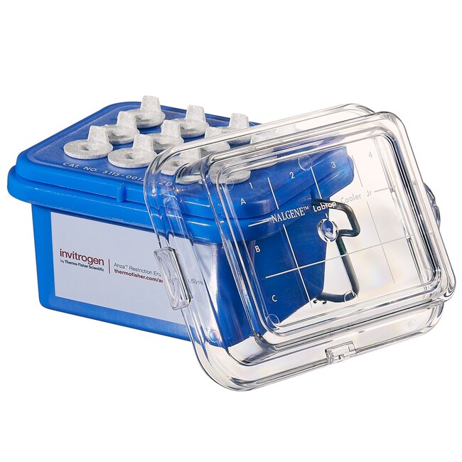 Thermo Scientific Benchtop Coolers Nalgene Labtop Cooler, 3x4