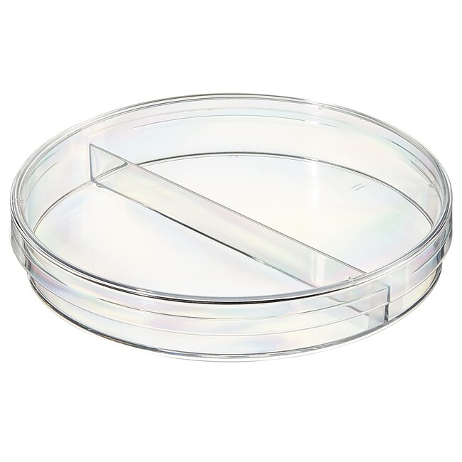 20 Petrischalen 90mm + 10 Druppelaars - Steriel Voor Bacteriekweek En Schoolprojecten
