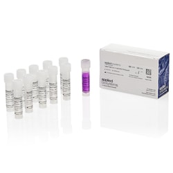 Applied Biosystems™ TaqMan™ SARS-CoV-2, Flu A/B, RSV RT-PCR Assay Kit