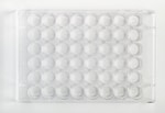 Fisherbrand™ Surface Treated SterileTissue Culture Plates