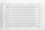 Fisherbrand™ 96-Well, Cell Culture-Treated, U-Shaped-Bottom Microplate
