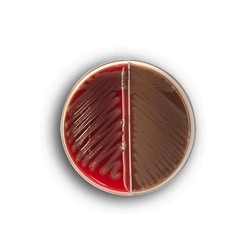 Thermo Scientific™ Remel™ Blood Agar (TSA w/5% Sheep Blood)/ Chocolate Agar