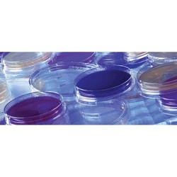 Thermo Scientific™ Remel™ Contact I Blood Agar (TSA w/5% Sheep Blood)