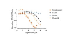 Tocris Bioscience CoraFluor 2, amine reactive 20 &mu;g | Buy Online | Tocris Bioscience&trade; | Fisher Scientific