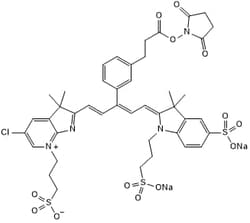 Tocris Bioscience IRDye 680RD, NHS ester 500 &mu;g | Buy Online | Tocris Bioscience&trade; | Fisher Scientific