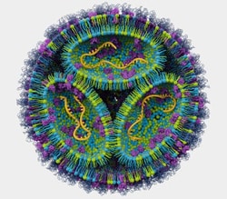 Tocris Bioscience MC3 LNP Luciferase 10 &mu;g | Buy Online | Tocris Bioscience&trade; | Fisher Scientific