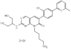 Novus Biologicals&trade;&nbsp;IFN-gamma Antibody Pair