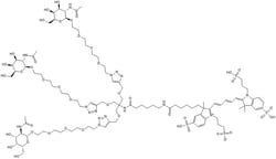 Tocris Bioscience™ tri-GalNAc-C5-AF647