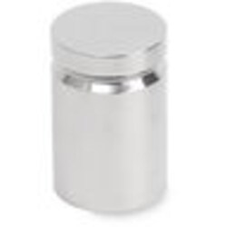 Troemner Electronic Balance ASTM Class 2 Weight with Protective Case 5 kg | Buy Online | Troemner&trade; | Fisher Scientific