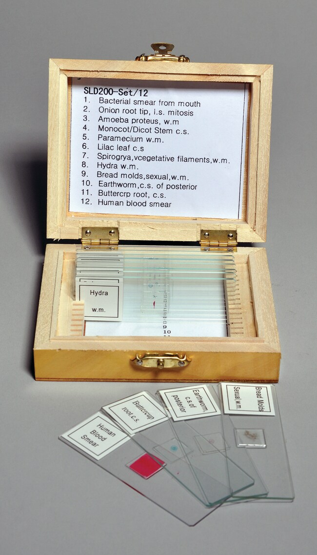 Vision Scientific Textile Fibre Prepared Microscope Slides - Set Of 12 Various Fabric Samples
