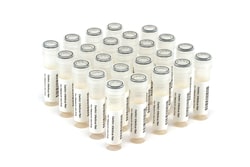 ZeptoMetrix NATtrol Vaginal Panel 24 x 0.5 mL | Buy Online | ZeptoMetrix | Fisher Scientific