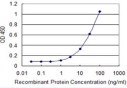 ADAM29 Antibody (3A6), Novus Biologicals 0.1 mg | Buy Online | Novus Biologicals | Fisher Scientific