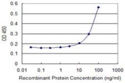 Arrestin 3 Antibody (2D7), Novus Biologicals 0.1 mg | Buy Online | Novus Biologicals | Fisher Scientific