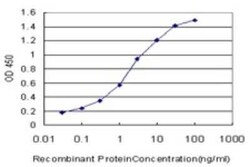 Endophilin A1/SH3GL2 Antibody (5A6), Novus Biologicals 0.1 mg | Buy Online | Novus Biologicals | Fisher Scientific