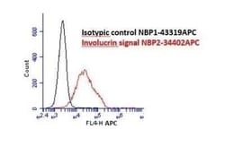 Involucrin Antibody (SPM259) - Azide and BSA Free, Novus Biologicals 0.1 mg | Buy Online | Novus Biologicals | Fisher Scientific