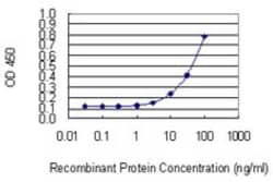 NUDT13 Antibody (1A9), Novus Biologicals 0.1 mg; Unconjugated:Antibodies,