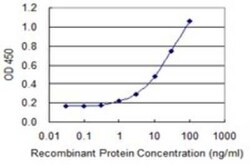 PAGE1 Antibody (6G6), Novus Biologicals 0.1 mg | Buy Online | Novus Biologicals | Fisher Scientific