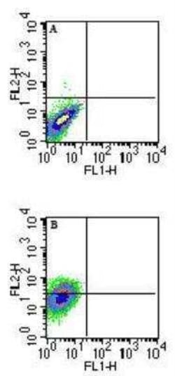 QA1b Antibody (6A8.6F10.1A6) - Azide and BSA Free, Novus Biologicals 0.1