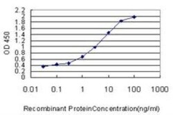 STK38 Antibody (2F3), Novus Biologicals 0.1 mg | Buy Online | Novus Biologicals | Fisher Scientific
