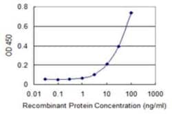 ZNF96 Antibody (3E4), Novus Biologicals 0.1 mg | Buy Online | Novus Biologicals | Fisher Scientific