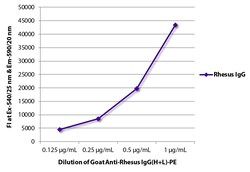 Goat Anti-Rhesus monkey IgG H&L (PE), Abcam