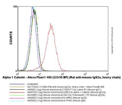 Rat monoclonal [SB84a] Anti-Mouse IgG2a heavy chain (Alexa Fluor&trade; 488), Abcam