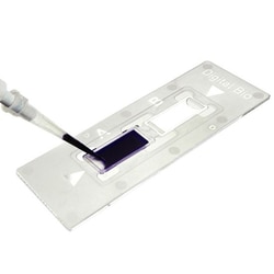 Chemglass Life Sciences Disposable Hemocytometer, C-Chip , 50/pk, Quantity: