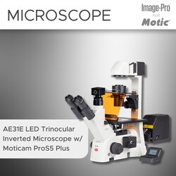 Motic Clinical (Fluorescence) Package: AE31E Trino Inverted Microscope