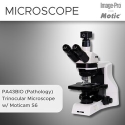 Motic Clinical Package: PA43BIO Trino (Pathology) Upright Microscope w/