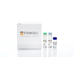 STEMCELL Technologies Human IgM ELISA Antibody Pair Kit 1 Kit for 6 Plates | Buy Online | STEMCELL Technologies | Fisher Scientific