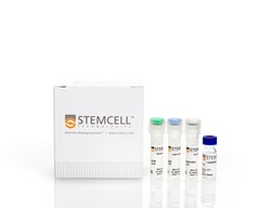 STEMCELL Technologies Mouse IgM ELISA Antibody Pair Kit 1 kit para 6 placas | Buy Online | STEMCELL Technologies | Fisher Scientific