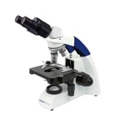 Fisherbrand&trade;&nbsp;Entry Level Upright Microscope