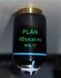 Fisherbrand™ Plan Achromatic Phase Contrast Objective 40x