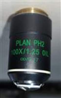 Fisherbrand™ Plan Phase Achromatic Objective 100X