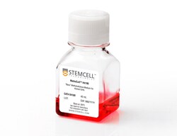 STEMCELL Technologies MethoCult H4100, Size: 40 mL, Quantity: Each of 1