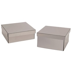 Cole-Parmer Argos Technologies PolarSafe Metal Freezer Box, Stainless Steel, 3