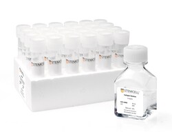 STEMCELL Technologies MegaCult™-C Collagen and Medium Without Cytokines, Size: 1 Kit